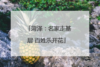 菏泽：名家走基层 百姓乐开花