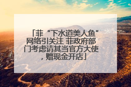 菲“下水道美人鱼”网络引关注 菲政府部门考虑请其当官方大使，赠现金开店