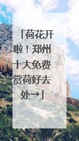 荷花开啦！郑州十大免费赏荷好去处→