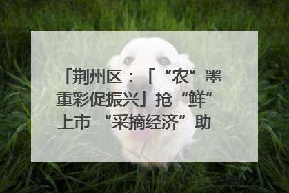 荆州区：「“农”墨重彩促振兴」抢“鲜”上市 “采摘经济”助农“甜蜜增收”