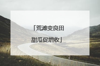 荒滩变良田 甜瓜促增收