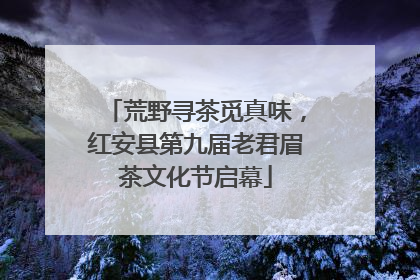 荒野寻茶觅真味，红安县第九届老君眉茶文化节启幕