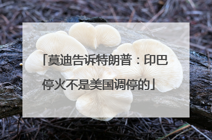 莫迪告诉特朗普：印巴停火不是美国调停的