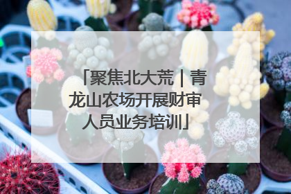 聚焦北大荒｜青龙山农场开展财审人员业务培训