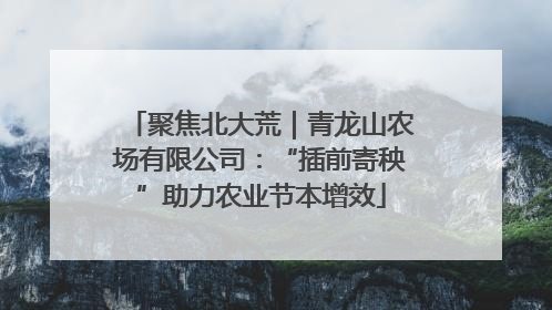 聚焦北大荒｜青龙山农场有限公司：“插前寄秧”助力农业节本增效