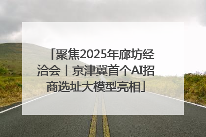 聚焦2025年廊坊经洽会丨京津冀首个AI招商选址大模型亮相