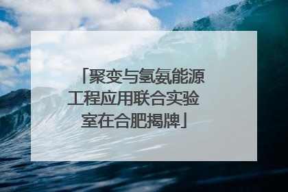聚变与氢氨能源工程应用联合实验室在合肥揭牌