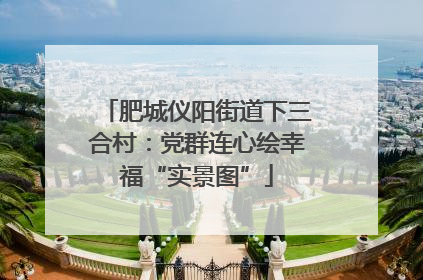 肥城仪阳街道下三合村：党群连心绘幸福“实景图”