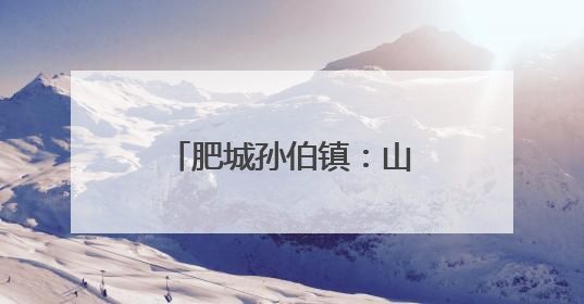 肥城孙伯镇：山村油杏满枝头