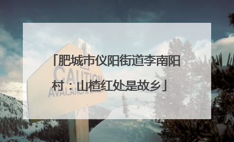 肥城市仪阳街道李南阳村：山楂红处是故乡