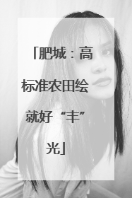 肥城：高标准农田绘就好“丰”光