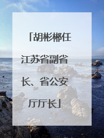 胡彬郴任江苏省副省长、省公安厅厅长