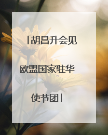 胡昌升会见欧盟国家驻华使节团
