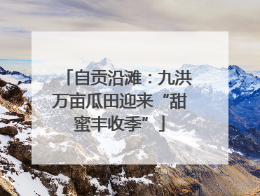 自贡沿滩：九洪万亩瓜田迎来“甜蜜丰收季”