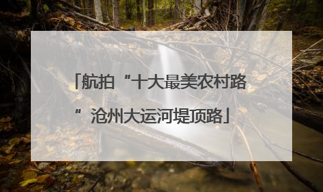航拍“十大最美农村路”沧州大运河堤顶路