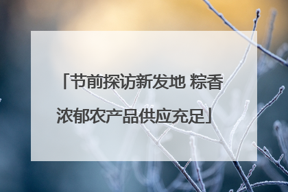 节前探访新发地 粽香浓郁农产品供应充足