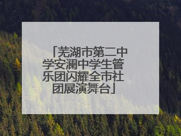 芜湖市第二中学安澜中学生管乐团闪耀全市社团展演舞台