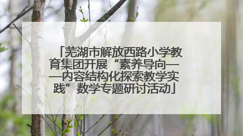 芜湖市解放西路小学教育集团开展“素养导向——内容结构化探索教学实践”数学专题研讨活动