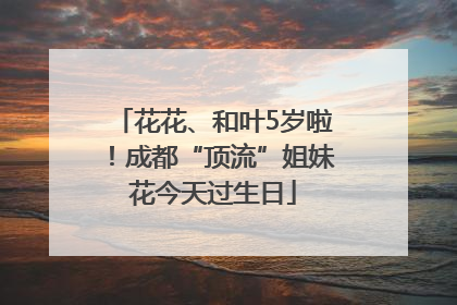 花花、和叶5岁啦！成都“顶流”姐妹花今天过生日