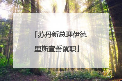 苏丹新总理伊德里斯宣誓就职