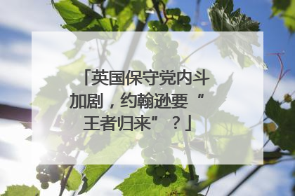 英国保守党内斗加剧，约翰逊要“王者归来”？