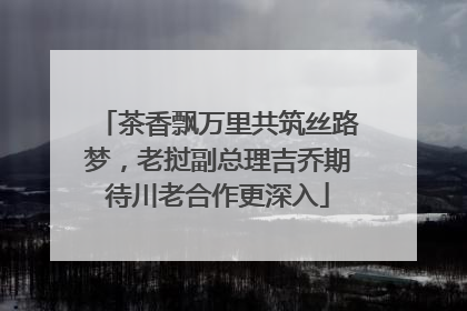 茶香飘万里共筑丝路梦，老挝副总理吉乔期待川老合作更深入