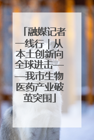 融媒记者一线行｜从本土创新向全球进击——我市生物医药产业破茧突围