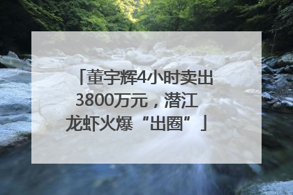 董宇辉4小时卖出3800万元，潜江龙虾火爆“出圈”