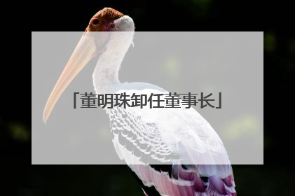 董明珠卸任董事长