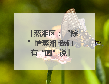 蒸湘区：“粽”情蒸湘 我们有“画”说