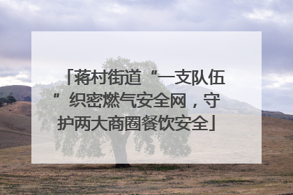 蒋村街道“一支队伍”织密燃气安全网，守护两大商圈餐饮安全