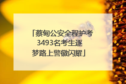 蔡甸公安全程护考 3493名考生逐梦路上警徽闪耀