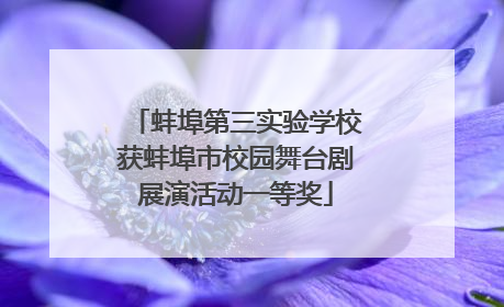 蚌埠第三实验学校获蚌埠市校园舞台剧展演活动一等奖