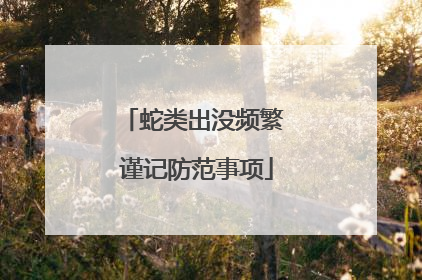 蛇类出没频繁 谨记防范事项