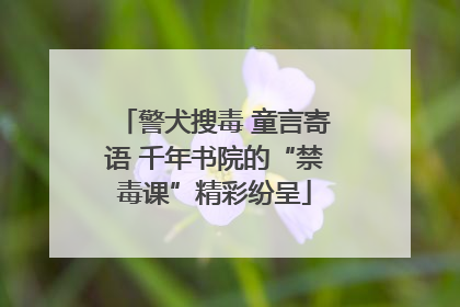 警犬搜毒 童言寄语 千年书院的“禁毒课”精彩纷呈