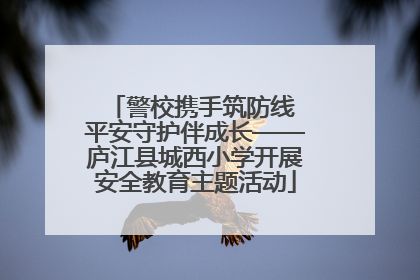 警校携手筑防线 平安守护伴成长——庐江县城西小学开展安全教育主题活动