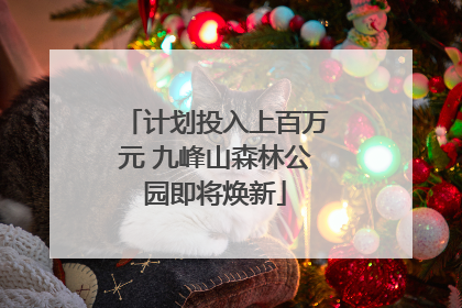 计划投入上百万元 九峰山森林公园即将焕新