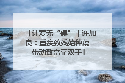 让爱无“碍”｜许加良：重疾致残始种藕 带动致富靠双手