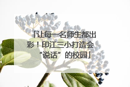让每一名师生都出彩！印江三小打造会“说话”的校园