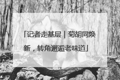 记者走基层｜菊胡同焕新，转角邂逅老味道