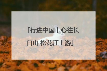 行进中国丨心往长白山 松花江上游