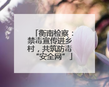 衡南检察：禁毒宣传进乡村，共筑防毒“安全网”