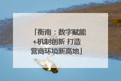衡南：数字赋能+机制创新 打造营商环境新高地