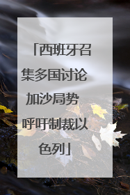 西班牙召集多国讨论加沙局势 呼吁制裁以色列