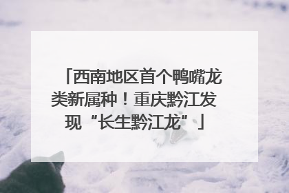 西南地区首个鸭嘴龙类新属种！重庆黔江发现“长生黔江龙”