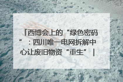 西博会上的“绿色密码”：四川唯一电网拆解中心让废旧物资“重生”｜西博寻“新”记