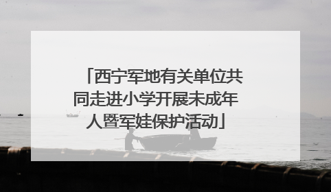 西宁军地有关单位共同走进小学开展未成年人暨军娃保护活动