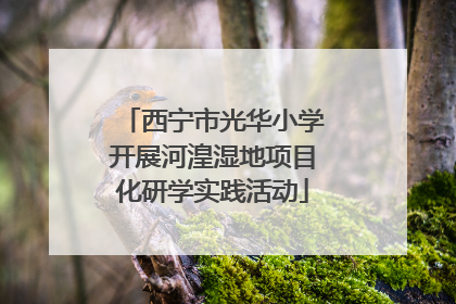 西宁市光华小学开展河湟湿地项目化研学实践活动