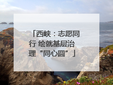 西峡：志愿同行 绘就基层治理“同心圆”