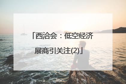 西洽会：低空经济展商引关注(2)